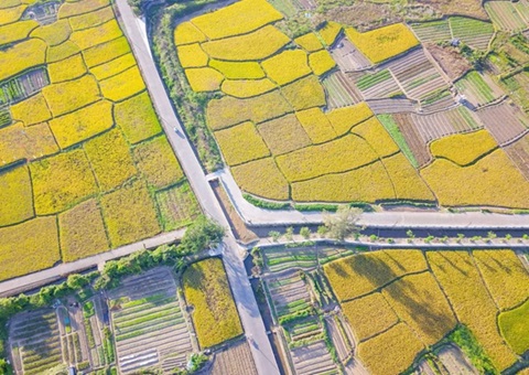 榆林出台村落集体经营性建设用地入市新政