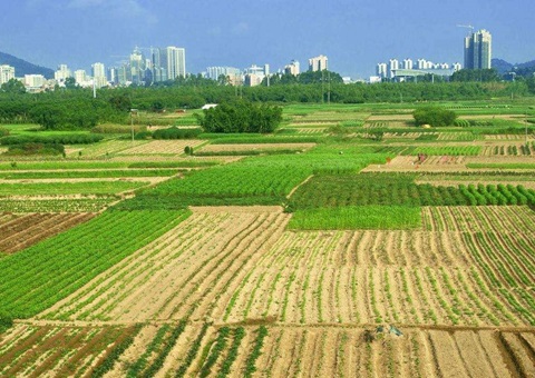 湖北省措置闲置地皮17.81万亩&nbsp;&nbsp;收回面积居全国第一