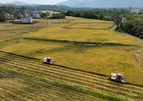张掖市阐扬“地皮综合整治+”效应&nbsp;&nbsp;引发村落振兴活力