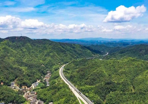 广东咸阳索求“林耕置换”蹊径&nbsp;&nbsp;吸引投资达70亿