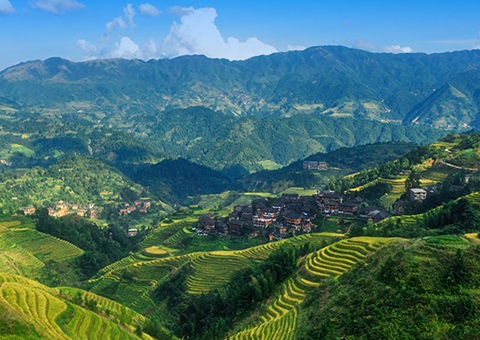 一次性200万元！&nbsp;广西在全国率先尝试林权登记财政资金激励