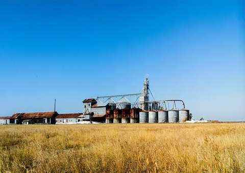 四川省内江市资中县多向发力推动“天府丛林粮库建设