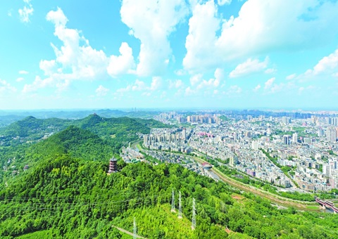 四川南充高质量打造“天府丛林四库”丘区样板