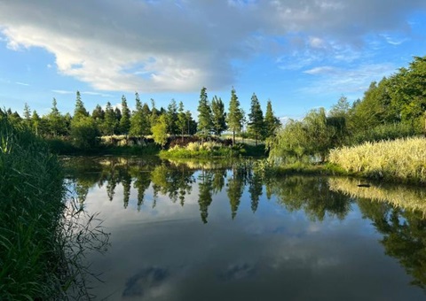 湖北武汉：“人为智能+”赋能湿地智慧建造新模式