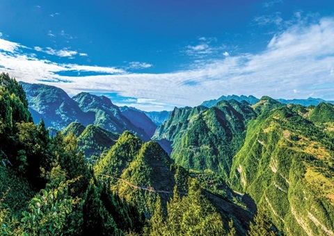 四川省建设“天府丛林四库”现场推动会召开? 聚力打造全国“丛林四库”建设示范省