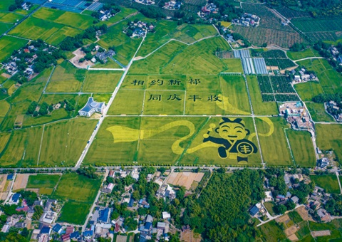 成都颁布耕地；す婊〗10年这样筑牢“天府粮仓”根基