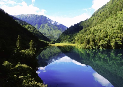 预计2025年底，四川省“林粮”产量1500万吨、产值1800亿元