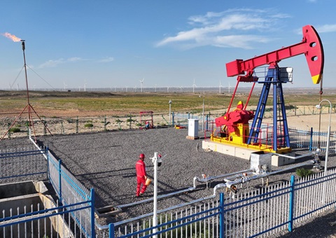 宁夏纵深推动新一轮找矿突破战术行动，执行一批煤层气、页岩气、煤炭等勘查项目