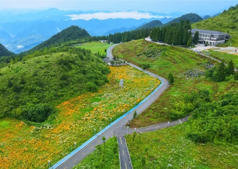 沉庆云阳：全国首例，获批1.8亿！