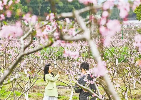 巴渝和美村落现场会为何在铜梁召开