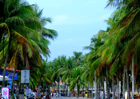 建“清冷城视妆，海南有何“凉方”?