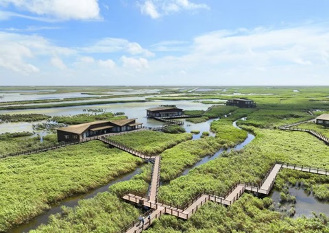 全球首个NbS城市中心在上海成立