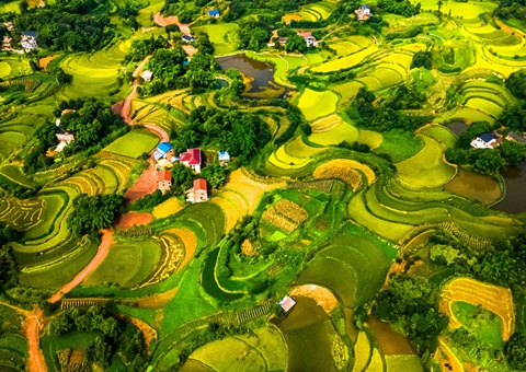 @农夫伴侣 2025年沉庆市耕地地力；げ怪婊戳