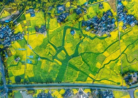 崇州市局出台村落地域“公例式”规划治理划定&nbsp;&nbsp;为村落治理提供规划支持