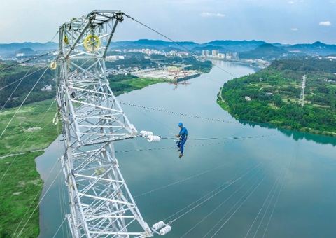 四川省印发通知成立沉大电网项目用地用林身分保险服务机造