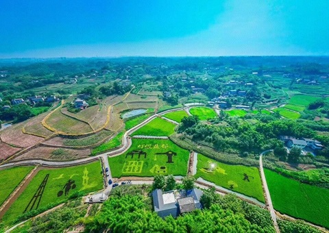 护航村落发展！自贡市出台村落振兴用地指南