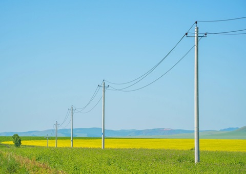 湖南出台耕地新建杆线治理法子